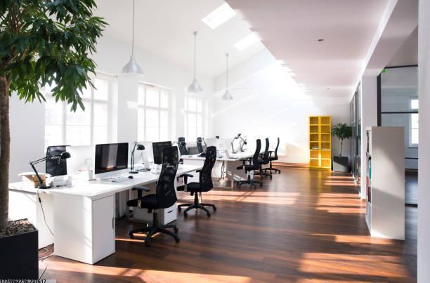 世界杯比分预测2024